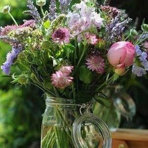 Meet your Posher, Katherine